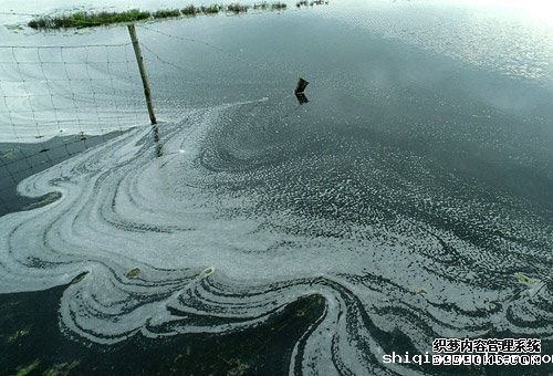 水利部：去年河流水质不达标率近40%