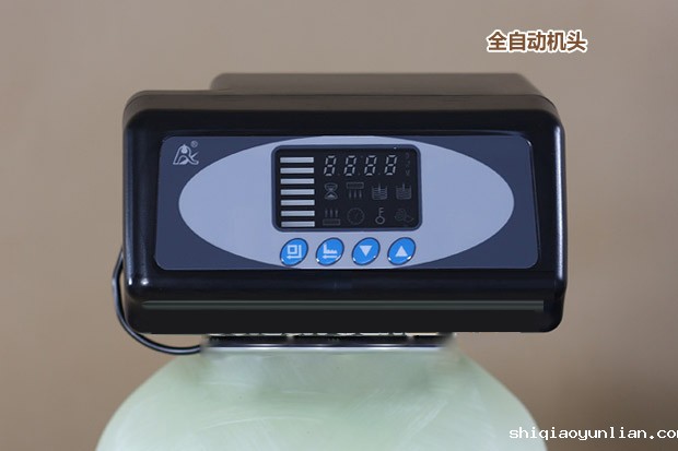 0.5吨(500L)每小时出力全自动软水器 0.5吨(500L)每小时出力全自动软水器