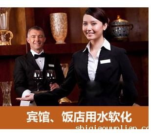 2吨/小时全自动软水器