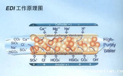 电除盐EDI设备